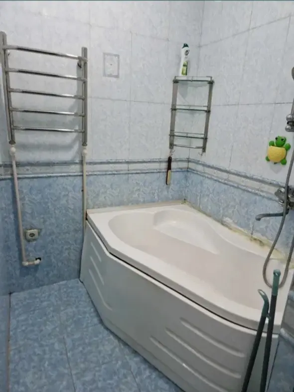 Image 5