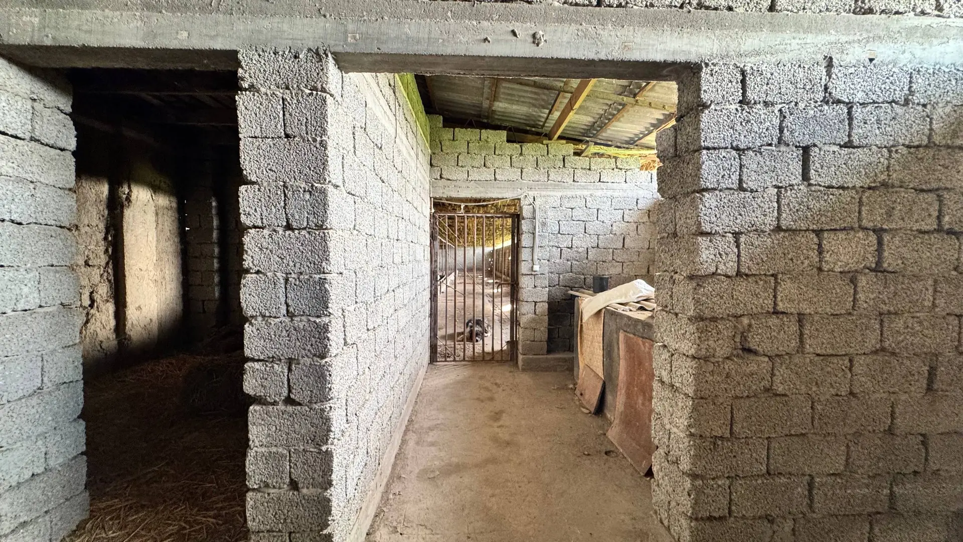 Image 6